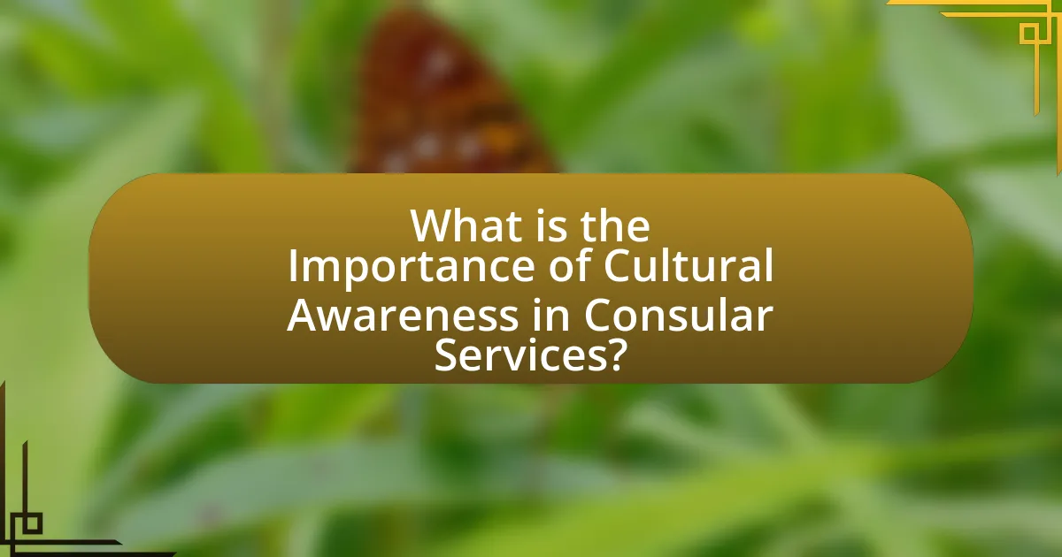 What is the Importance of Cultural Awareness in Consular Services?