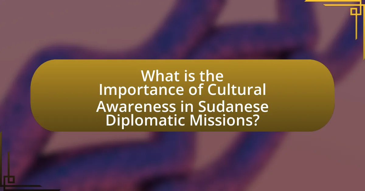 What is the Importance of Cultural Awareness in Sudanese Diplomatic Missions?