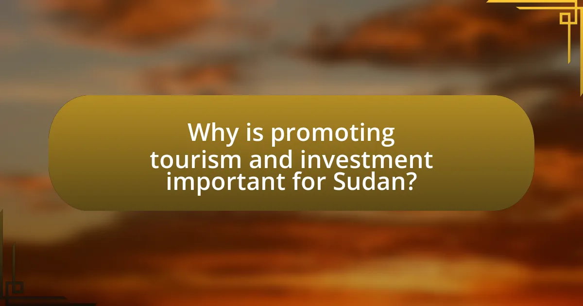 Why is promoting tourism and investment important for Sudan?